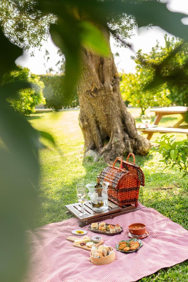 Casa Lata - Agroturismo E Enoturismo Amares Exteriör bild