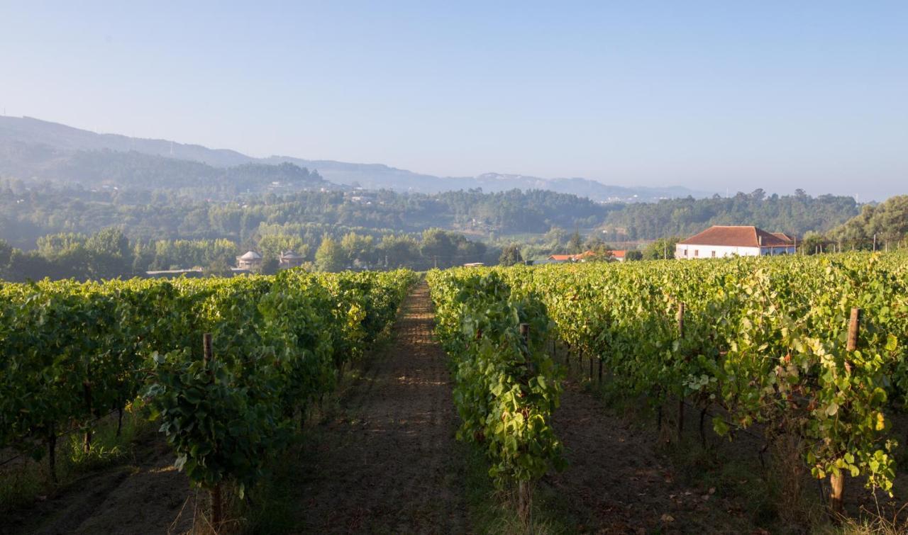 Casa Lata - Agroturismo E Enoturismo Amares Exteriör bild